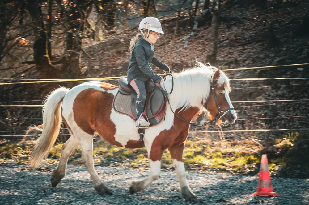 poney-cours