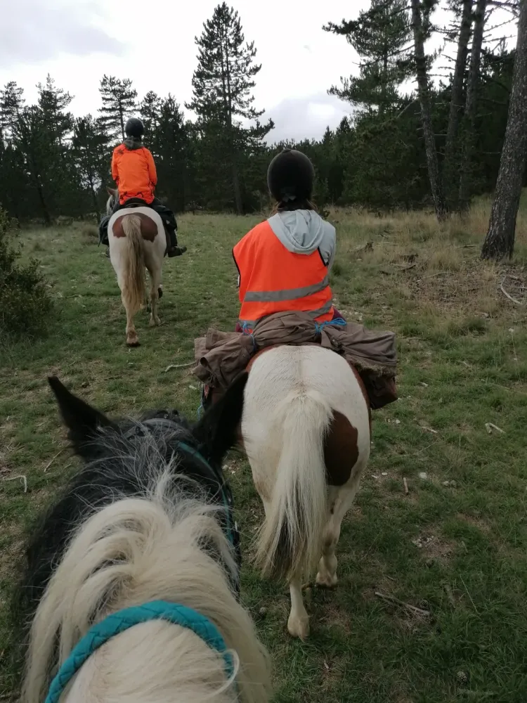 Balade à poney à Vers-sur-Méouge