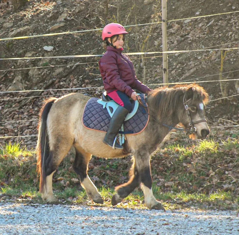 cours-poney