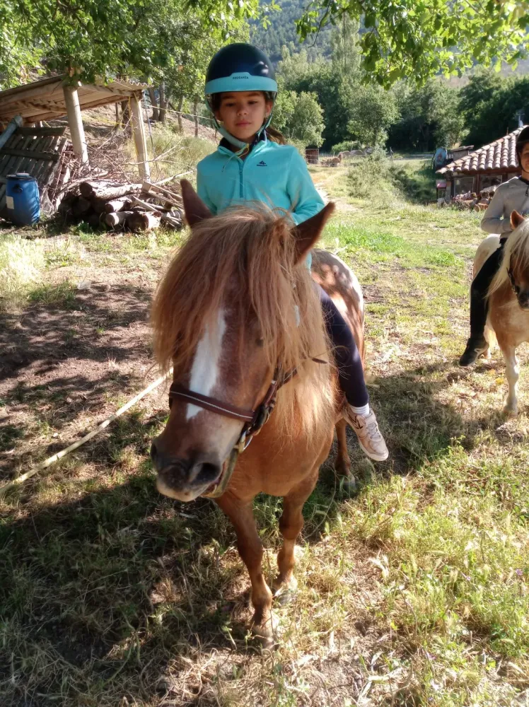 poney-cru