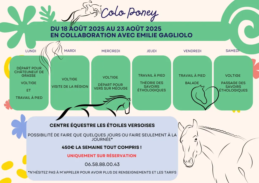 Colo poney